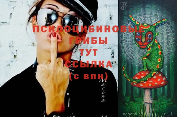 индика Вязники